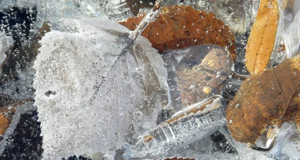 Со среды в Украине прогнозируют заморозки и начнется метеорологическая осень