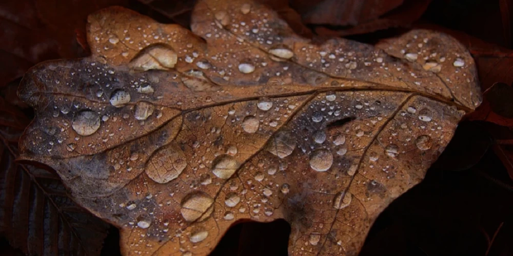 22 вересня  - осіннє рівнодення, яке сьогодні свято, що не можна робити, все про цей день