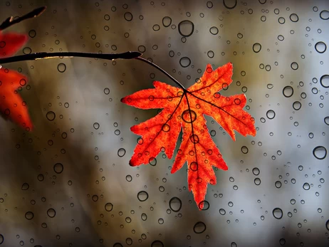 Морози вдарять по всій Україні вже цього тижня - де буде найхолодніше