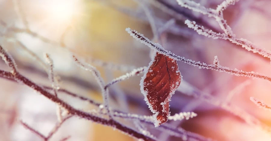 В Україні зафіксували перші нічні заморозки - де було найхолодніше