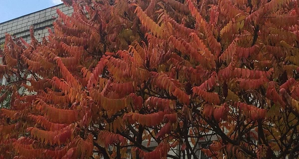 26 сентября - День памяти Ивана Богослова, что сегодня нельзя делать, все об этом дне