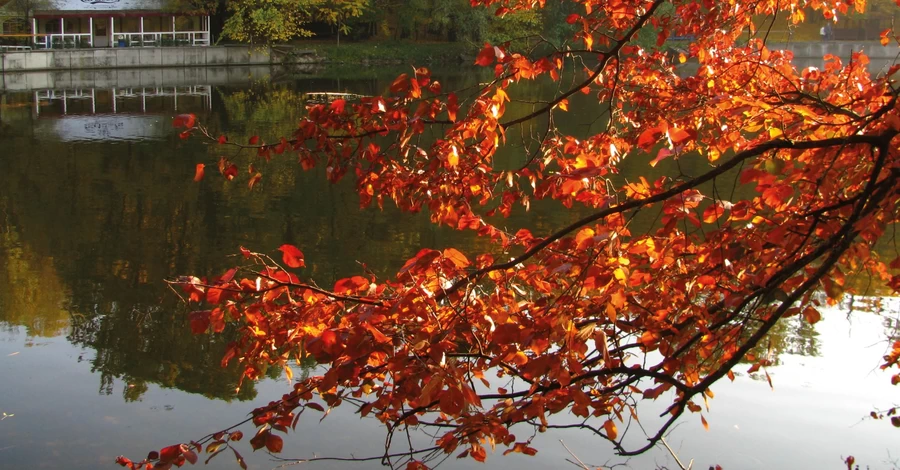 Метеорологическая осень в Киеве началась с недельным опозданием