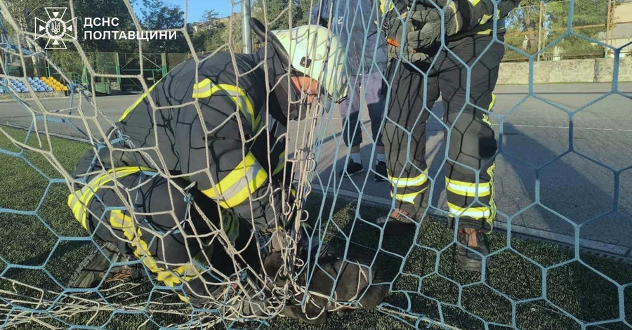 Полтавские спасатели освободили щенка, запутавшегося в футбольной сетке
