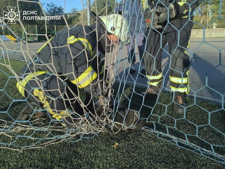 Полтавские спасатели освободили щенка, запутавшегося в футбольной сетке