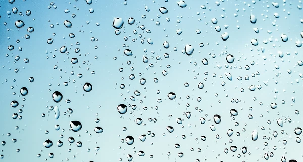 Погода в Украине 30 сентября: сентябрь завершится облачной погодой