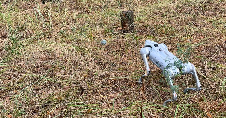 Роботизований пес знайшов касетний боєприпас на Київщині