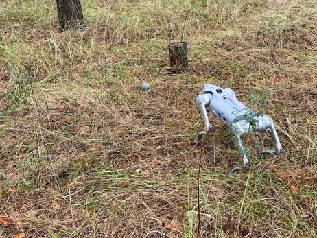 Роботизований пес знайшов касетний боєприпас на Київщині