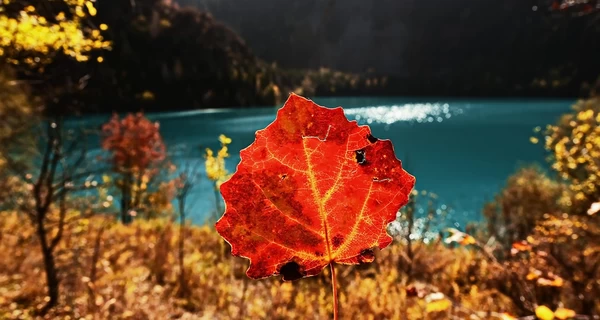 30 сентября - какой сегодня праздник, что сегодня нельзя делать, все об этом дне