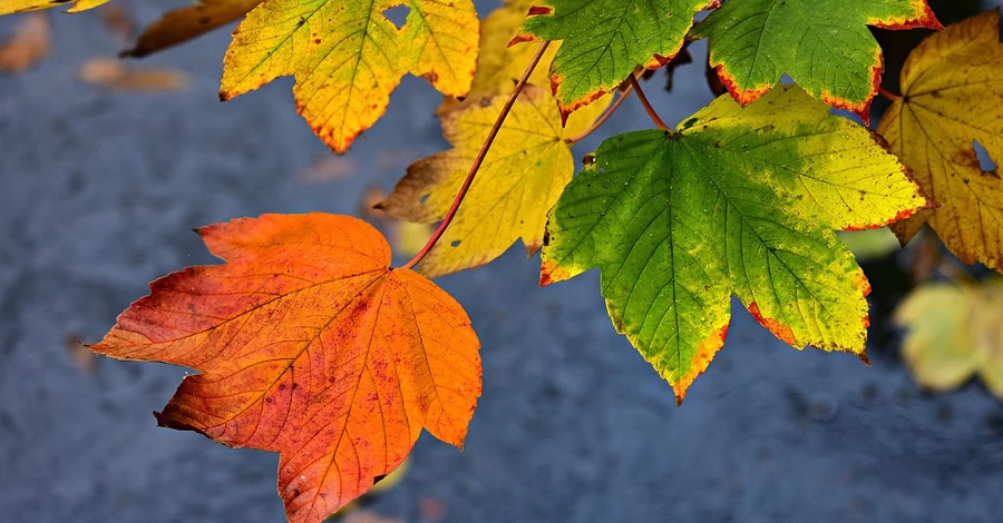 Отопительный сезон, перевод часов и новые правила пересечения границ: что изменится в октябре