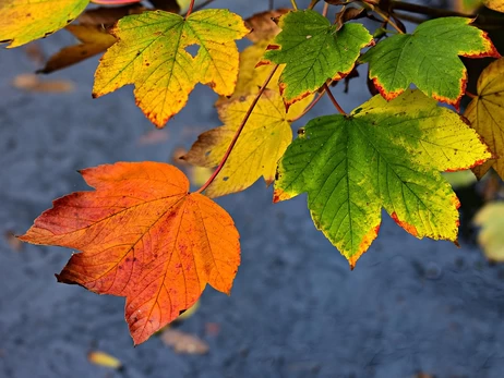 Отопительный сезон, перевод часов и новые правила пересечения границ: что изменится в октябре