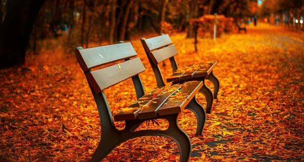 1 октября: Покров Пресвятой Богородицы, День защитников и защитниц и День казачества, что нельзя делать сегодня