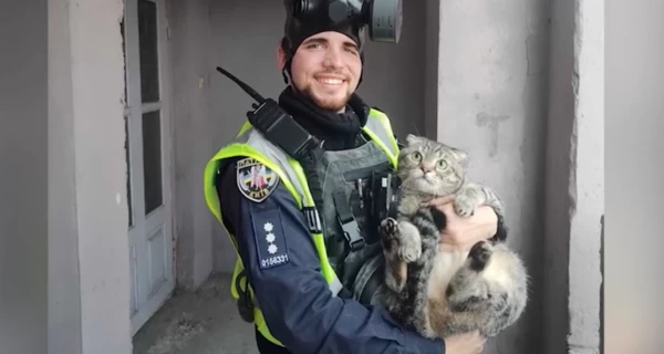 В Киеве во время пожара спасли кота и собаку