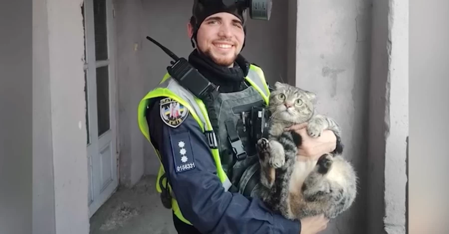 В Киеве во время пожара спасли кота и собаку