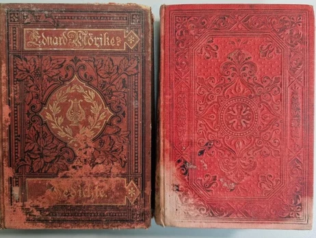 Из Украины пытались вывезти антикварные книги XIX-ХХ веков