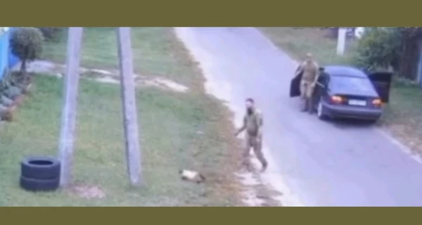 У ТЦК обурилися припущеннями про викрадення кота на Київщині