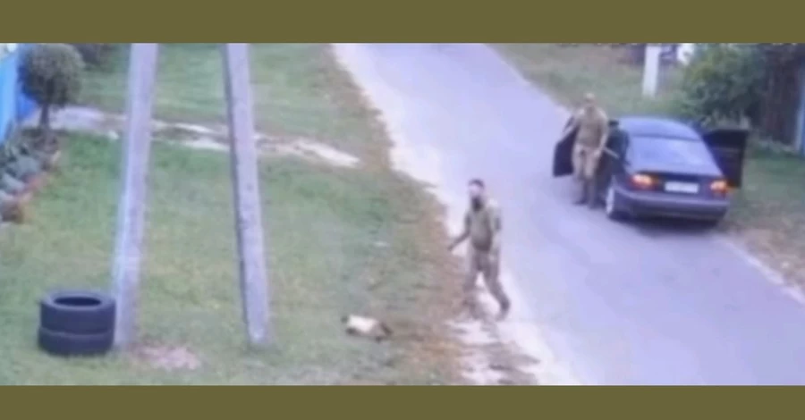 В ТЦК возмутились предположениями о похищении кота в Киевской области