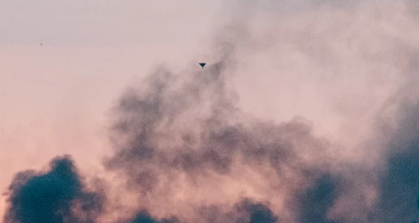 Россияне атаковали 116 дронами, силы ПВО обезвредили 83 