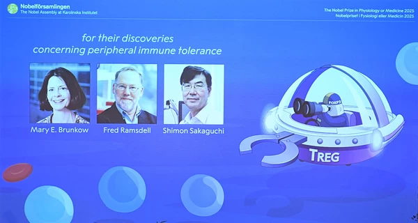 Нобелевскую премию-2025 по медицине вручили за новаторское открытие об иммунных клетках