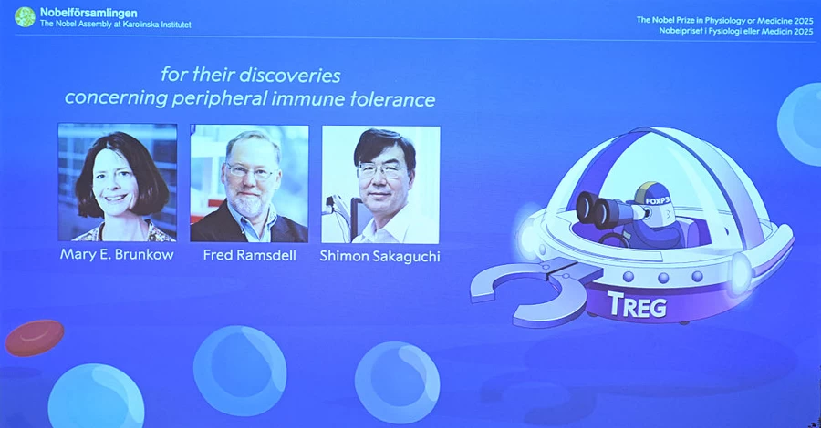 Нобелівську премію - 2025 з медицини вручили за новаторське відкриття про імунні клітини