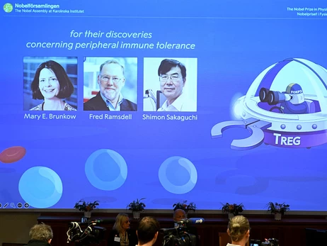 Нобелевскую премию-2025 по медицине вручили за новаторское открытие об иммунных клетках