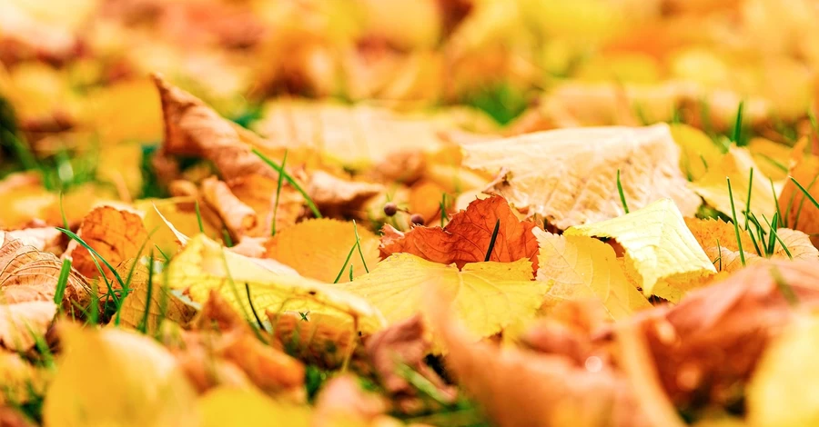 Погода в Украине 7 октября: местами ожидаются дожди и резкое изменение температуры