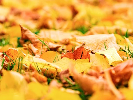 Погода в Украине 7 октября: местами ожидаются дожди и резкое изменение температуры