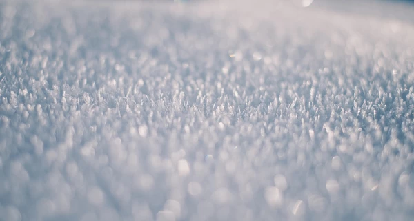 Полярники показали весну в Антарктике - метели и снег по колено