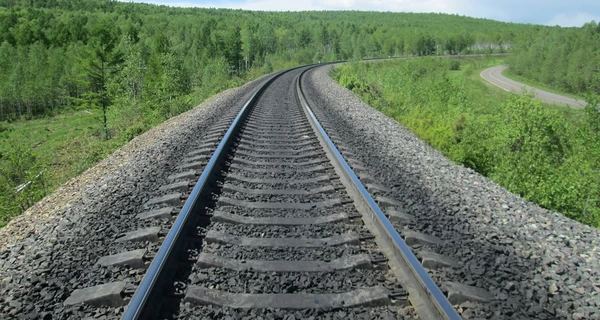 Партизаны взорвали железную дорогу в Ленинградской области - поезд с военным грузом сошел с рельсов