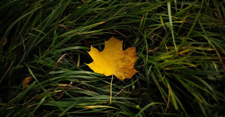 9 октября - какой сегодня праздник, что нельзя делать, все об этом дне