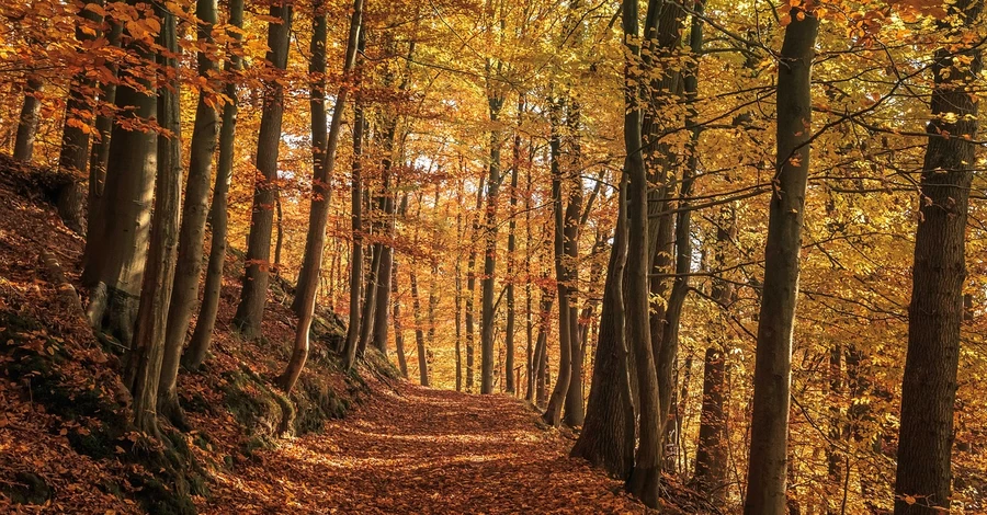 10 октября - какой сегодня праздник, что нельзя делать, кого следует поздравить, все об этом дне