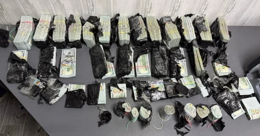Українка намагалась вивезти за кордон майже мільйон доларів 