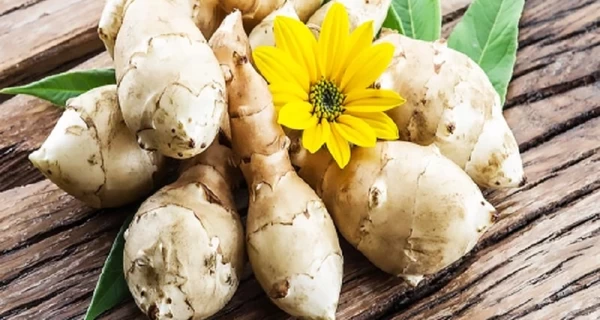 Суперцілющий топінамбур: який він на смак і у чому його користь