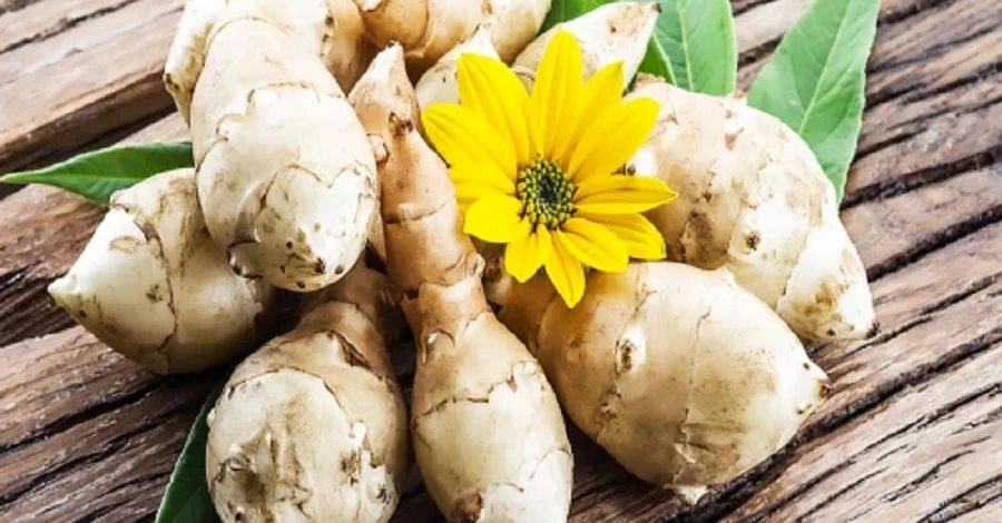 Суперцелебный топинамбур: какой он на вкус и в чем его польза