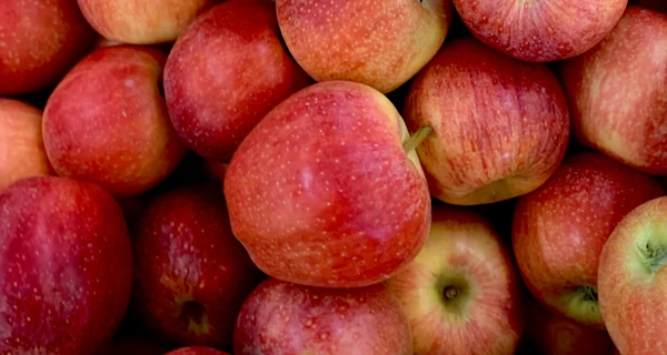 Сочные и полезные: почему важно есть яблоки и как их правильно хранить