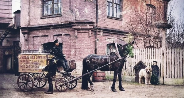 Домашние животные старого Киева: собак освящали в храмах, а голубей отвозили за город