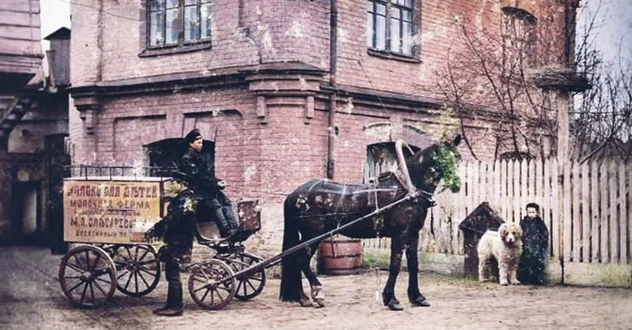 Домашние животные старого Киева: собак освящали в храмах, а голубей отвозили за город