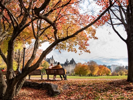 Погода в Украине 15 октября: будет преобладать холодная погода, на Черниговщине и Сумщине - дожди