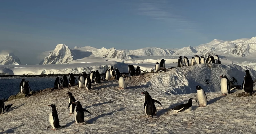На остров, где расположен 