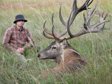1000 оленей на 250 гектарах: в Сумской области каскадер создал крупнейшую в Украине оленью ферму