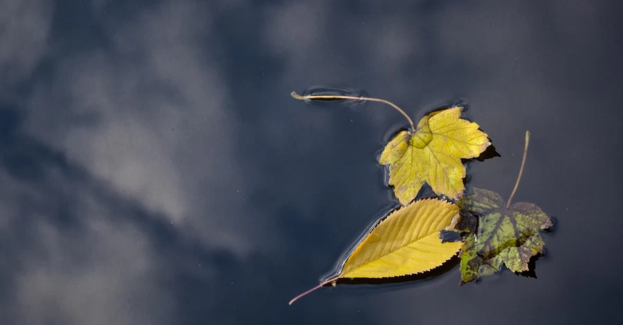 16 жовтня - яке сьогодні свято, традиції та прикмети цього дня, що не можна робити