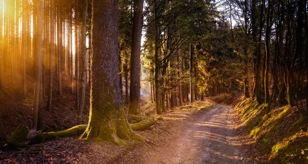 17 октября – какой сегодня праздник, что нельзя делать, приметы и традиции этого дня