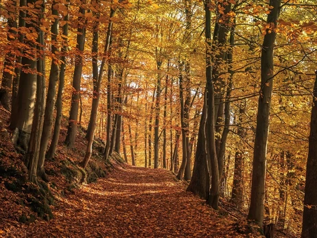 18 жовтня - яке сьогодні свято, прикмети та традиції, що не можна робити