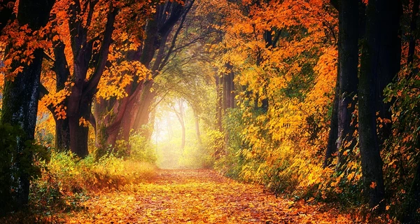 19 октября – какой сегодня праздник, приметы и традиции этого дня, что нельзя делать