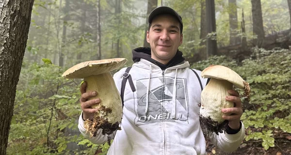 Грибник из Львовской области продал двухкилограммовый гриб на аукционе, а деньги задонатил ВСУ