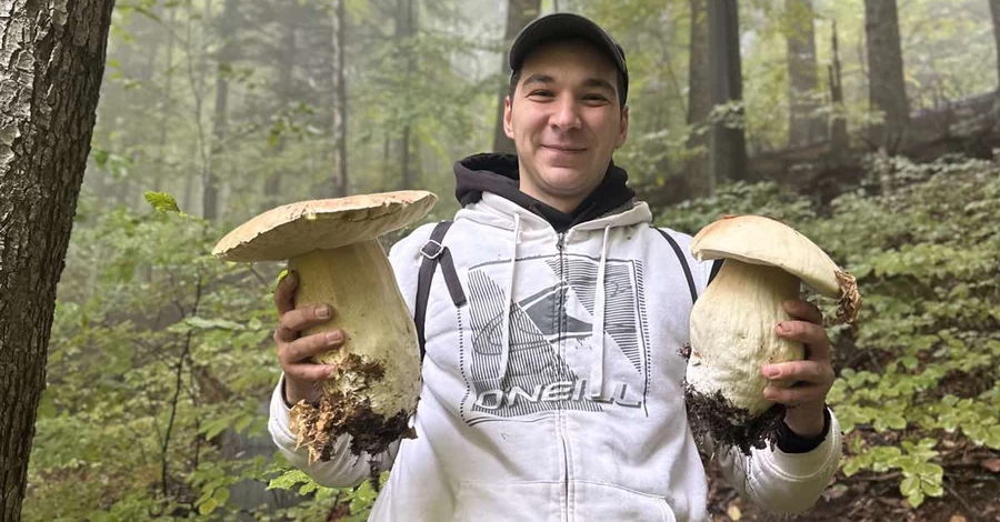 Грибник из Львовской области продал двухкилограммовый гриб на аукционе, а деньги задонатил ВСУ