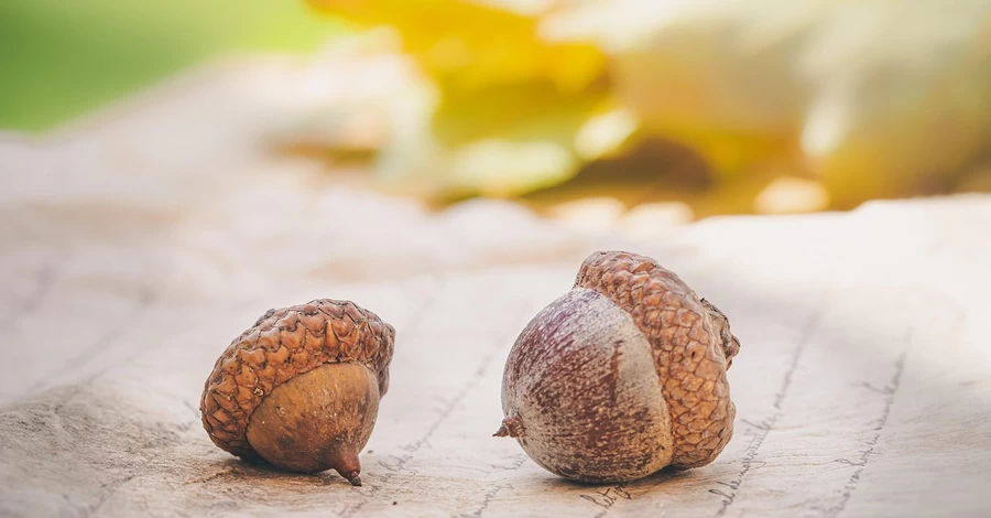 20 октября - приметы и традиции этого дня, какой сегодня церковный праздник, что нельзя делать