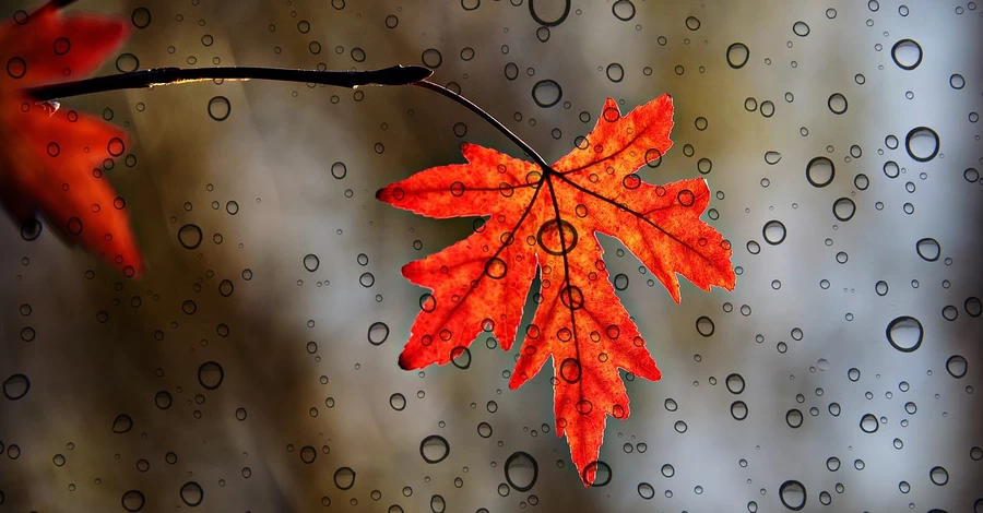 В Украину идет потепление – 21 октября на западе будет до +15 градусов