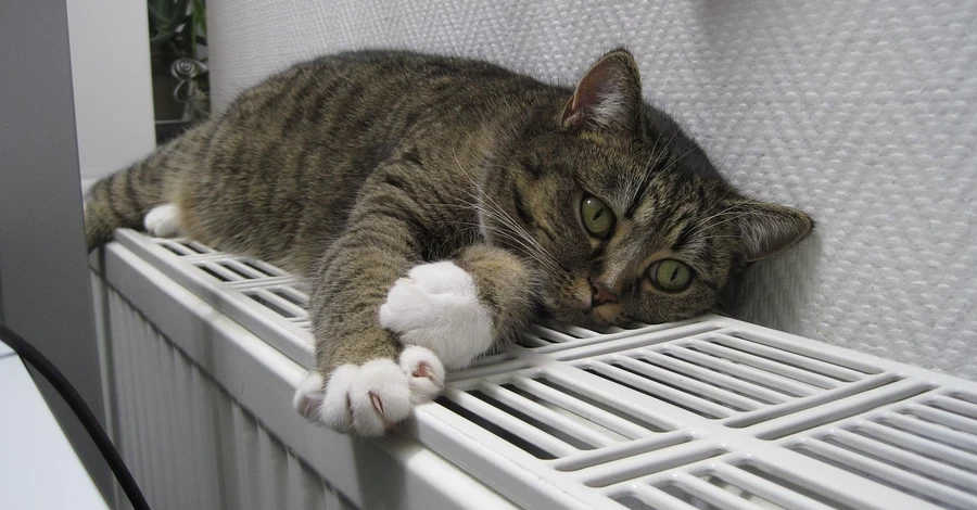 В Укренерго розповіли, коли включать опалення по всій Україні