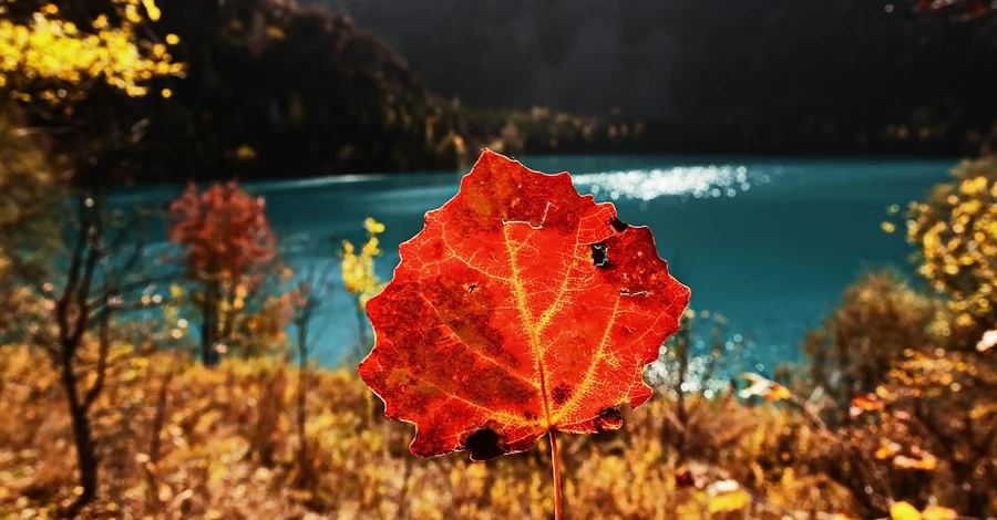 Погода в Украине – 23 октября будет до +18 градусов