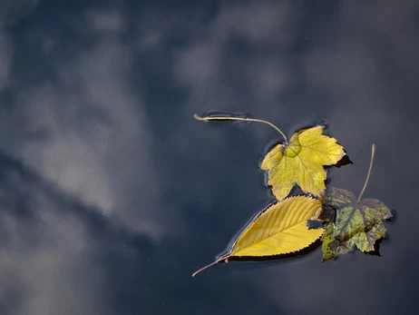 С 24 октября в Украине начнет меняться погода - идет похолодание с дождями и штормовым ветром